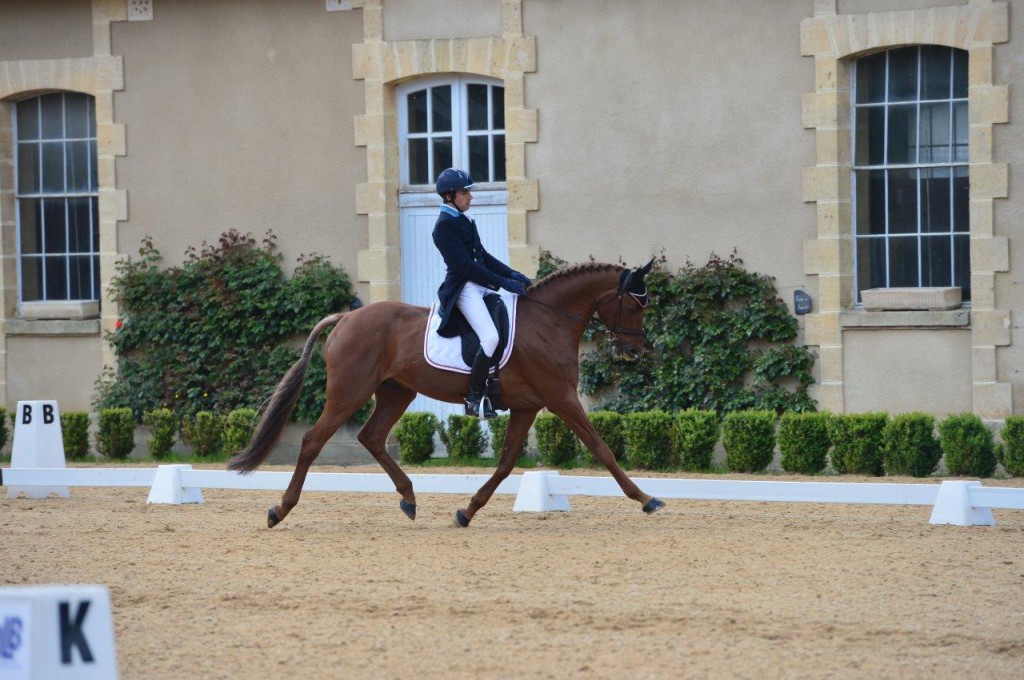 Tattersalls : Luc Chateau en tête