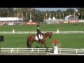 Championnats d'Europe concours complet Dressage Nicolas Touzaint