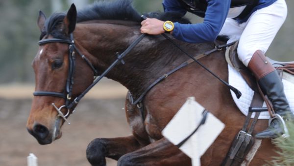 Un français n°1 du dressage aux championnats d’Europe