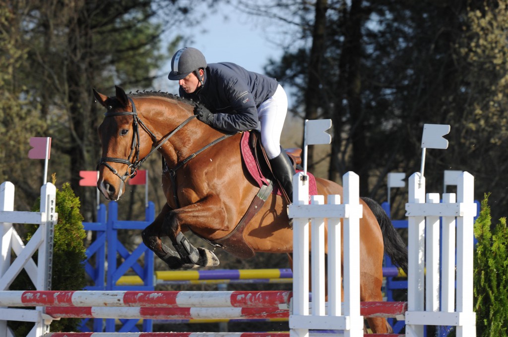 Les jeunes chevaux en prélude au Grand national