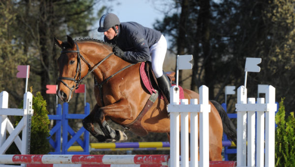 Les jeunes chevaux en prélude au Grand national