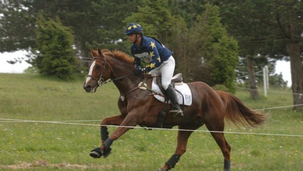 Eddy Sans, 6ème cavalier français : un piquet aguerri pour cette nouvelle saison