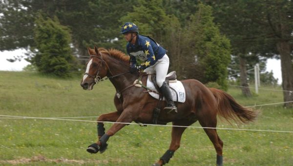 Eddy Sans, 6ème cavalier français : un piquet aguerri pour cette nouvelle saison