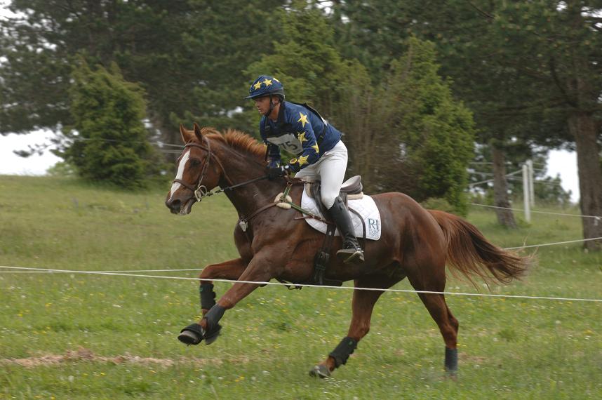 Eddy Sans, 6ème cavalier français : un piquet aguerri pour cette nouvelle saison