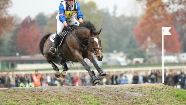 Obstacles de cross : les obstacles de terre, par Pascal Morvillers