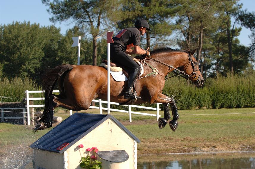 Ismène du Temple : dernier galop avant Badminton