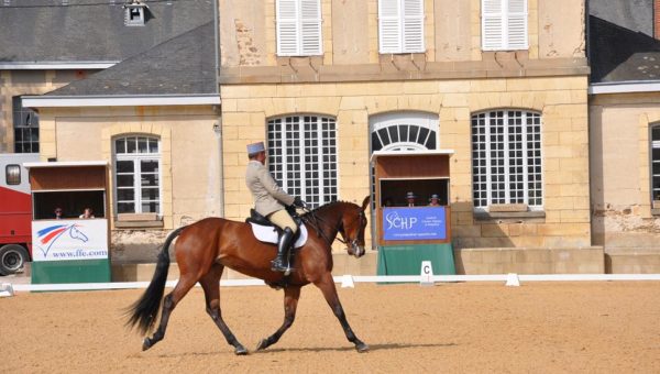 Pompadour : dressage de la Pro 1 – Trophée des 7 ans