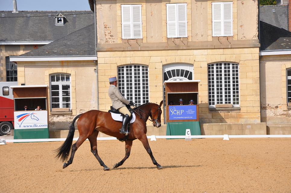 Pompadour : dressage de la Pro 1 – Trophée des 7 ans