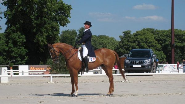 Jardy : résultats du 1er jour pour le CIC***