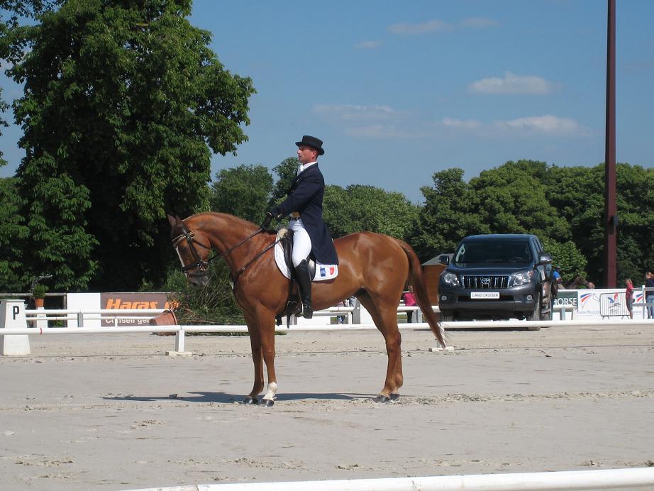 Jardy : résultats du 1er jour pour le CIC***