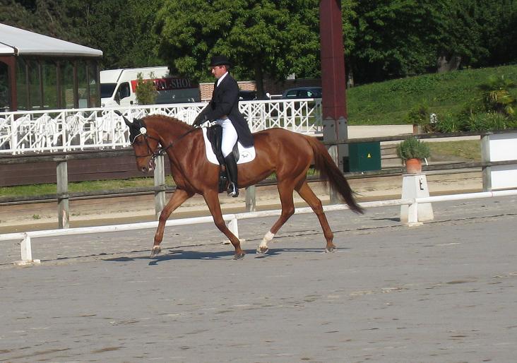 Jardy : vidéo du dressage CIC***