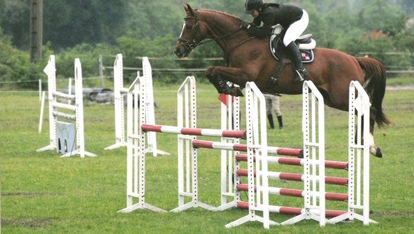 Ventes aux enchères à l’élevage Gaillard