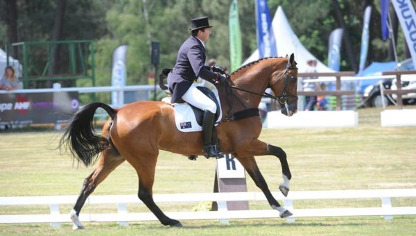 Saumur : résultats après le dressage