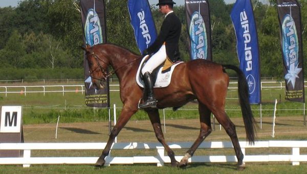 Saumur : Maxime Livio en tête du CIC**