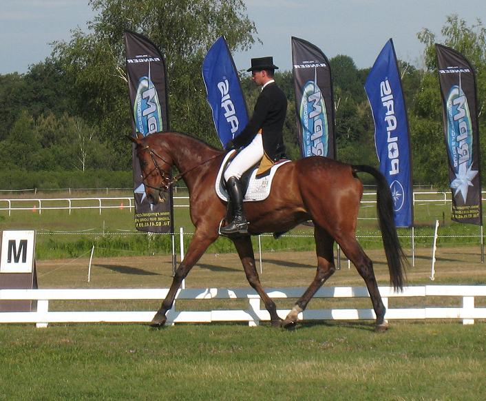 Saumur : Maxime Livio en tête du CIC**