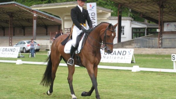 Vittel : dressage de la Pro élite Grand Prix