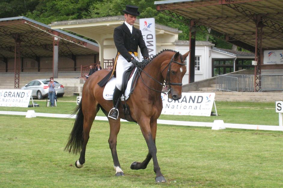 Vittel : dressage de la Pro élite Grand Prix