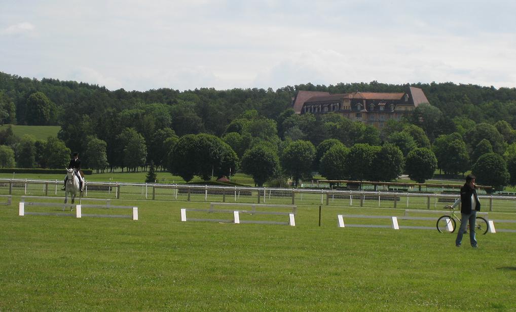 Vittel : dressage de la Pro élite