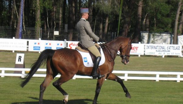 Lühmühlen : les Français dans le CIC***