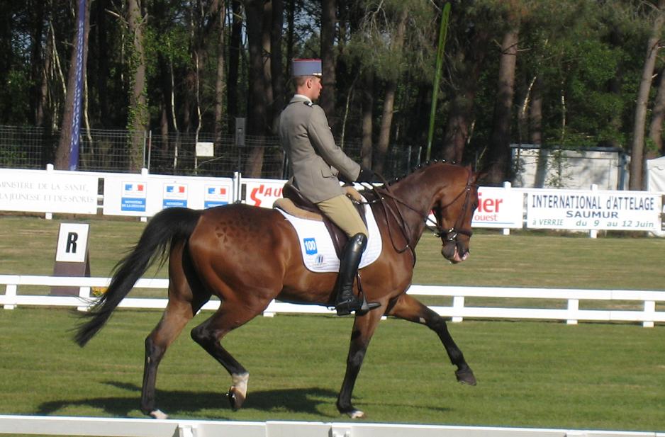 Lühmühlen : les Français dans le CIC***