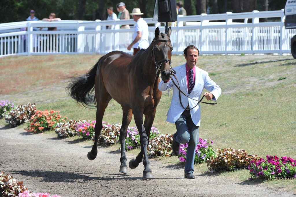 Lühmühlen : dressage du CCI****