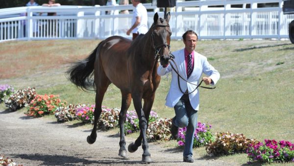 Lühmühlen : dressage du CCI****