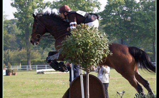 La team Galopro – Royal Horse : pour « côtoyer les meilleurs »