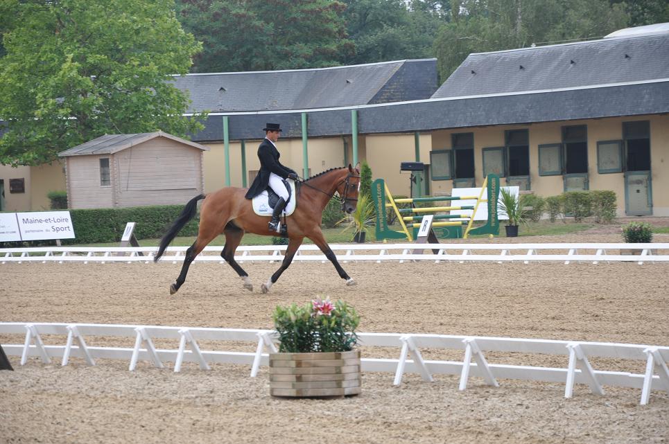 Saumur : le dressage commence