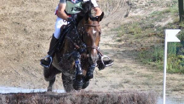 Saumur : cross des 7 ans