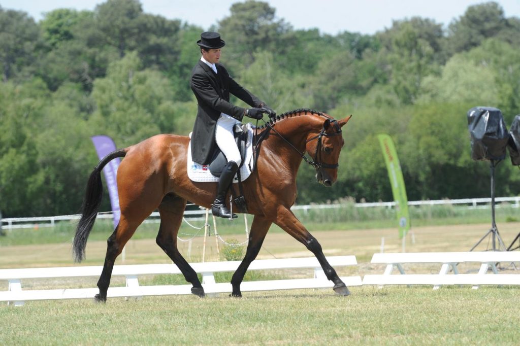 Bazoges en Pareds : résultats après le dressage