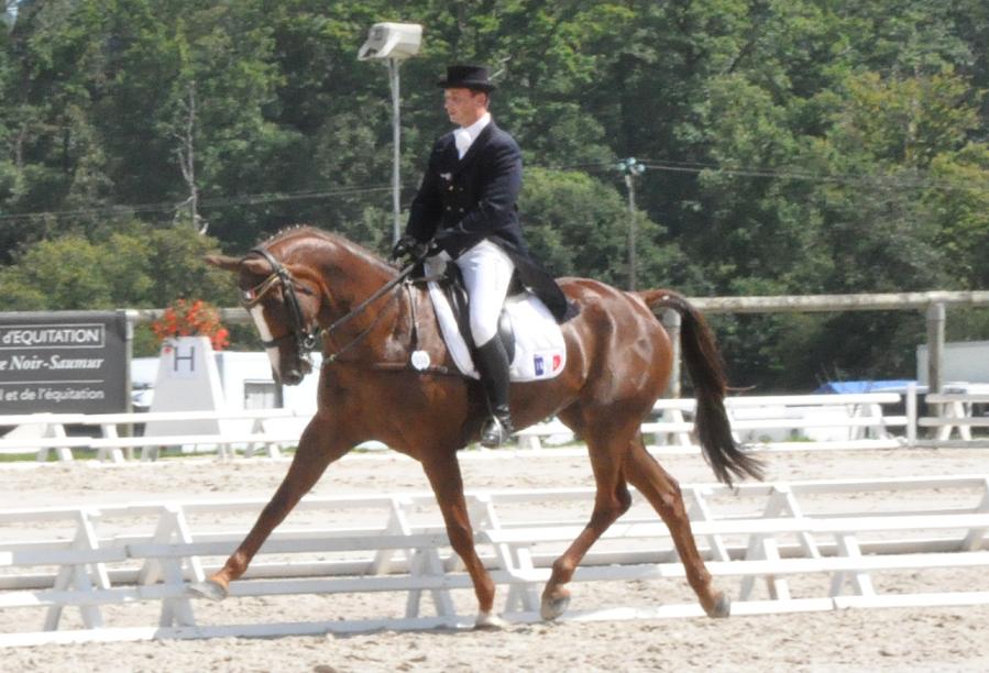 Le Grand Complet : résultats après le dressage