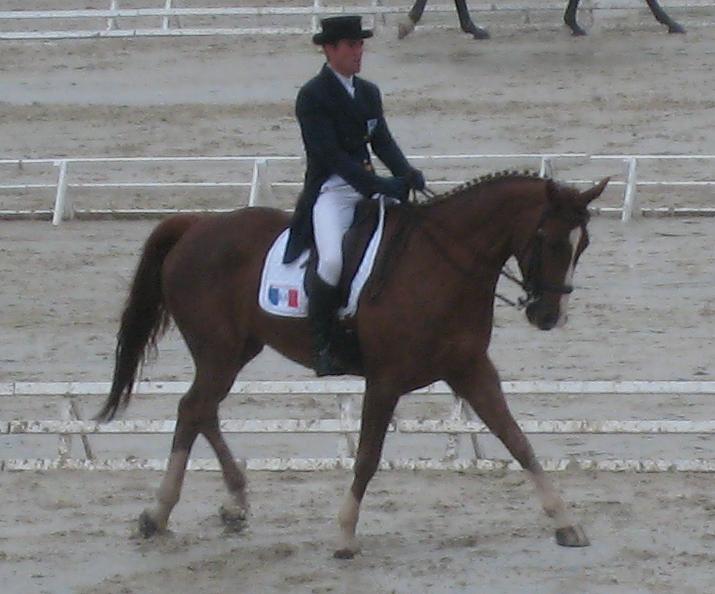 Sandillon : dressage du 2ème jour