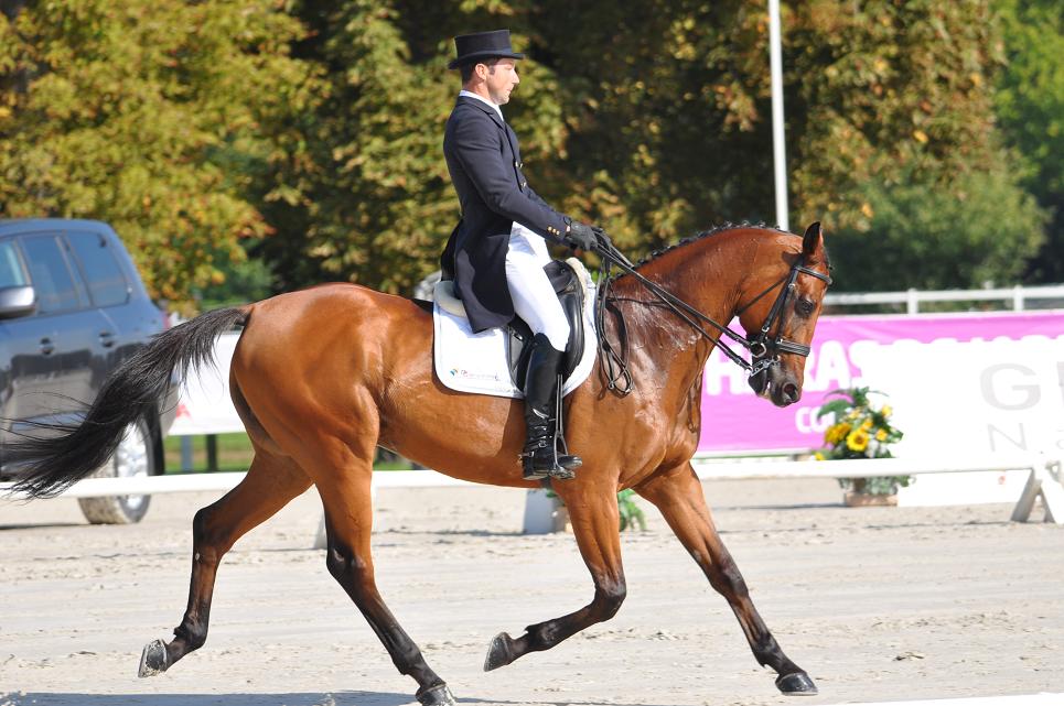 Jardy : dressage de la Pro élite GP