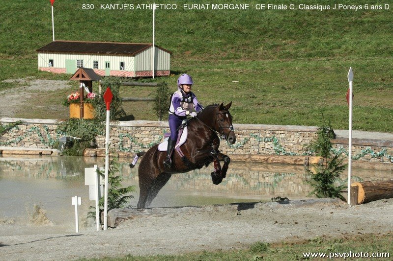 La Grande Semaine : c’est aussi pour les poneys