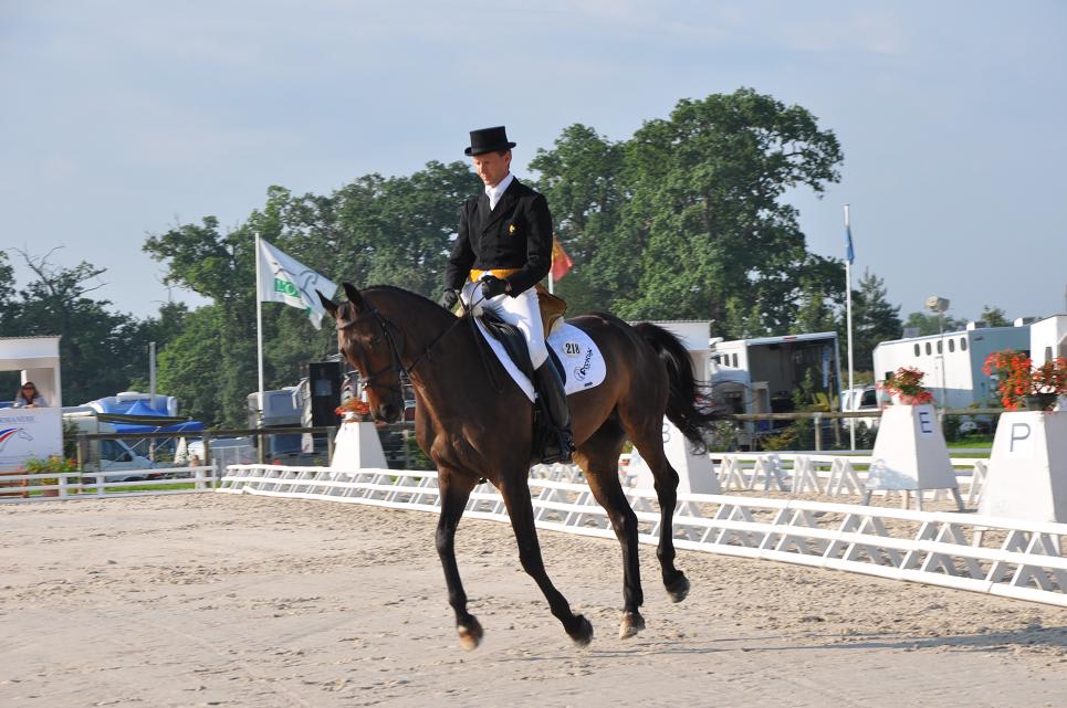 Boekelo : résultats après le dressage