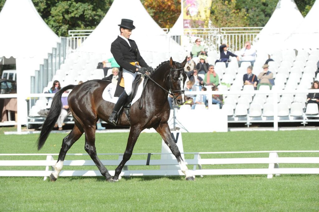 Jean Lou Bigot : de la motivation et du plaisir à monter ses chevaux