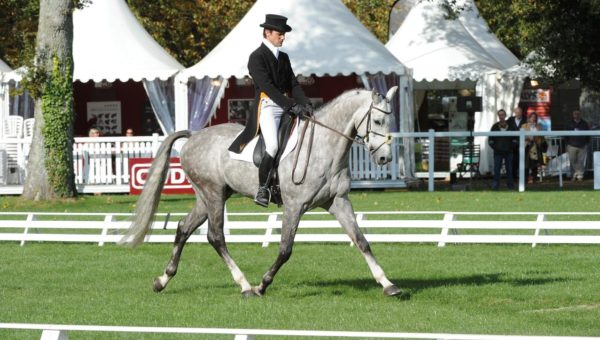 Nicolas Touzaint revient dans les hautes sphères mondiales!