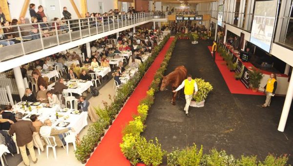 Deuxième soirée des Ventes du Lion