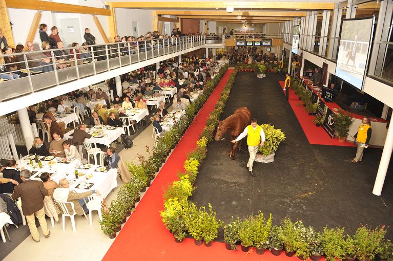 Deuxième soirée des Ventes du Lion