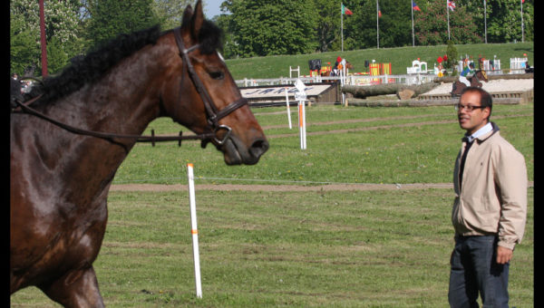 Ramsa Villa Rose : un cheval aimé et doué