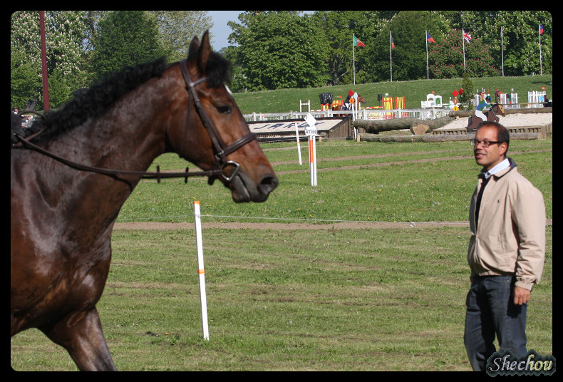 Ramsa Villa Rose : un cheval aimé et doué