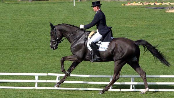 CICO Fontainebleau: Michael Jung en maître