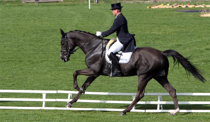 CICO Fontainebleau: Michael Jung en maître