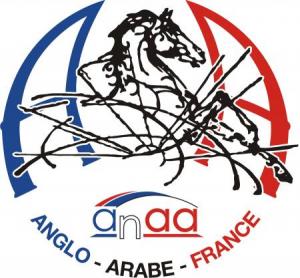 Formations des juges Anglo-Arabe