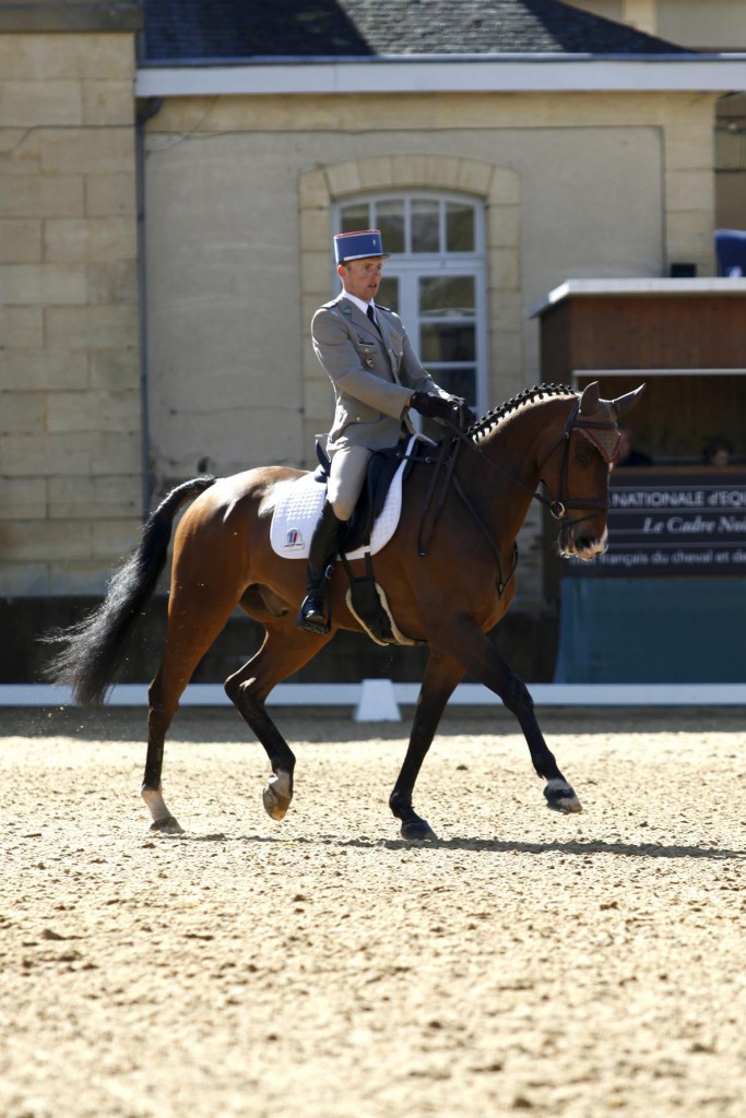 Master Pro: Duel de titans sur le carré de dressage