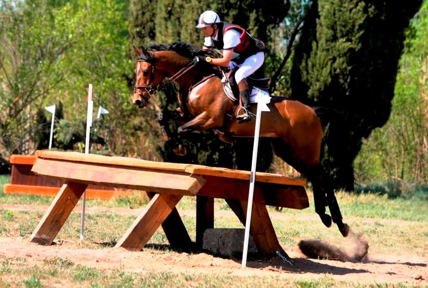 Po 1 du Pouget: Victoire pour la 2e année consécutive de Christian Weerts