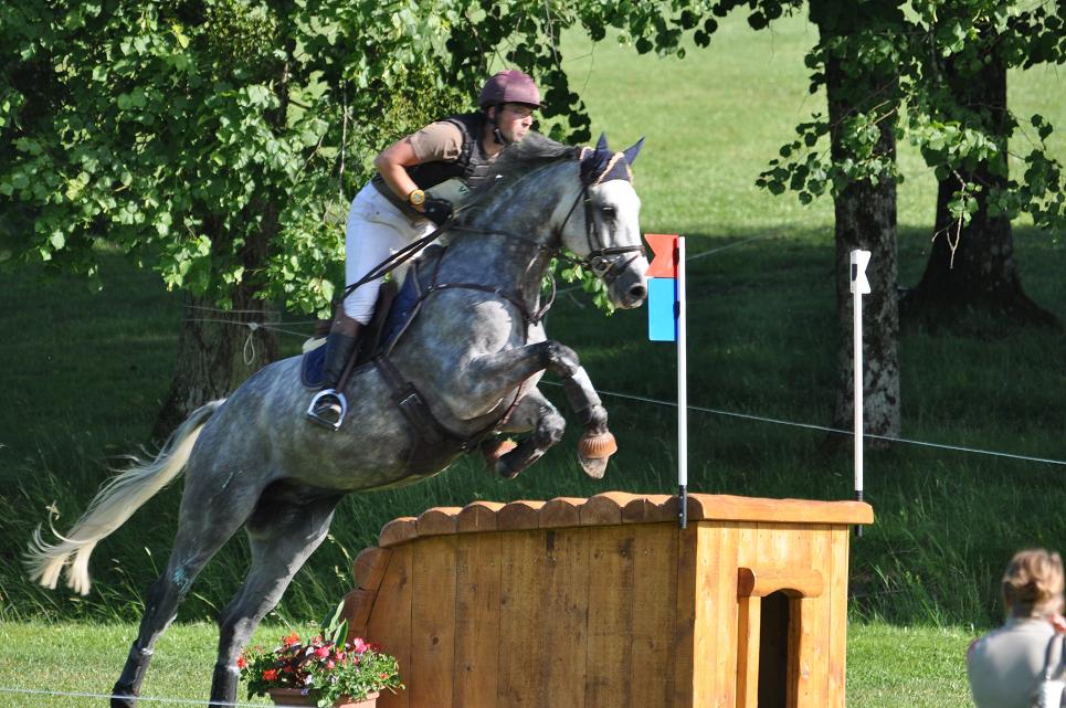 Vittel : « un piquet de chevaux très homogène » dans la Pro 1