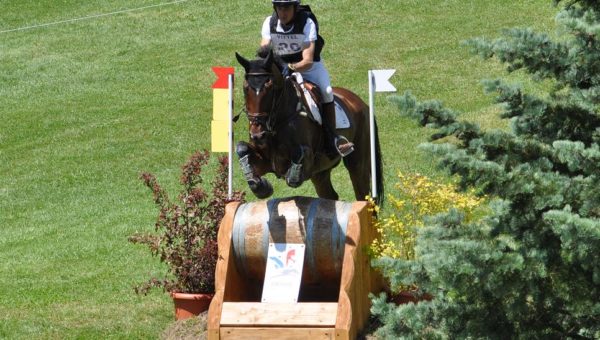 Les chevaux inspectés à Saumur en vue des Jeux