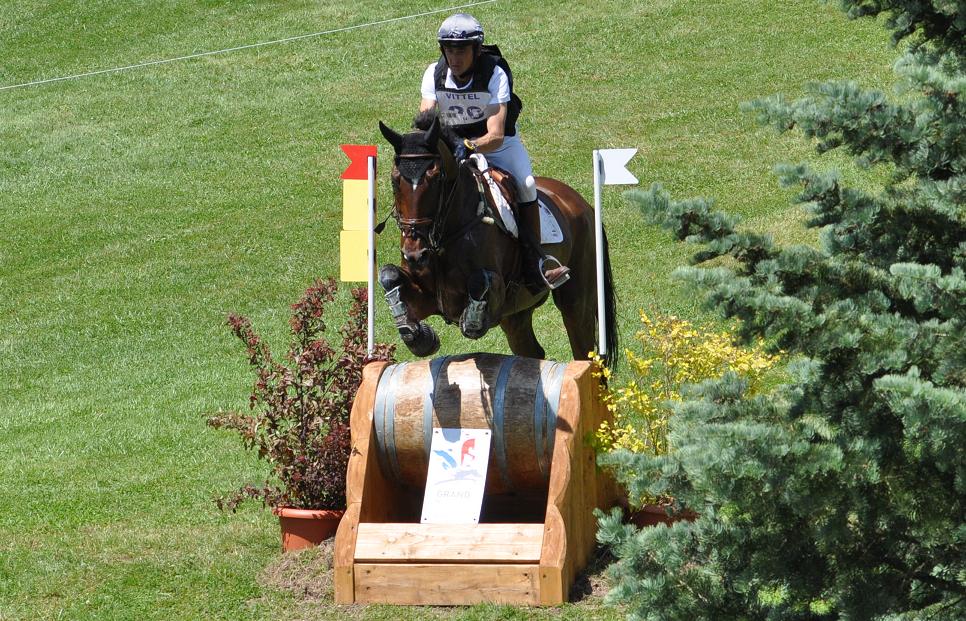 Les chevaux inspectés à Saumur en vue des Jeux