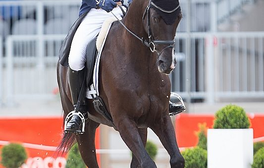 Luhmühlen : 27,8pts pour Michael Jung